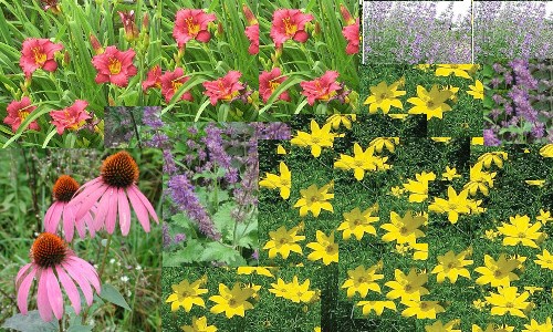 Flower Mix